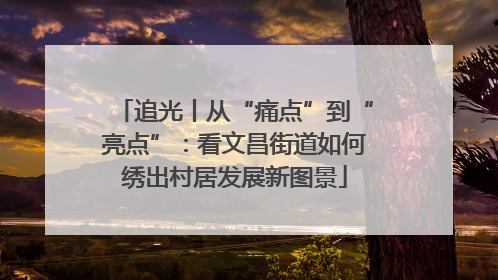 追光丨从“痛点”到“亮点”：看文昌街道如何绣出村居发展新图景