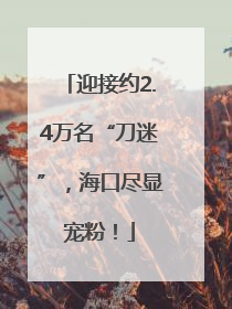 迎接约2.4万名“刀迷”，海口尽显宠粉！