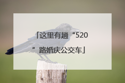 这里有趟“520”路婚庆公交车