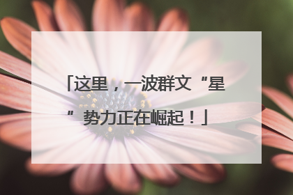 这里，一波群文“星”势力正在崛起！