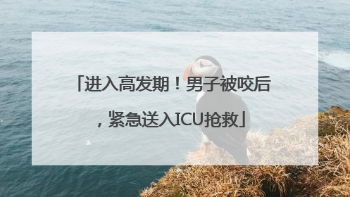进入高发期！男子被咬后，紧急送入ICU抢救