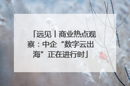 远见丨商业热点观察：中企“数字云出海”正在进行时