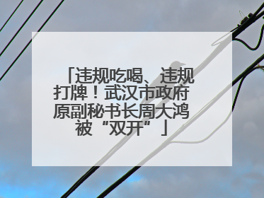 违规吃喝、违规打牌！武汉市政府原副秘书长周大鸿被“双开”