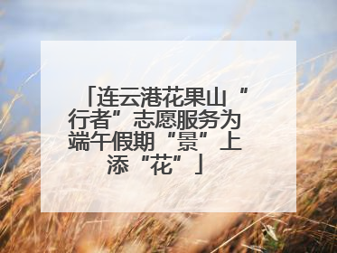 连云港花果山“行者”志愿服务为端午假期“景”上添“花”