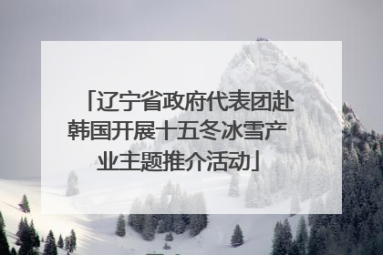 辽宁省政府代表团赴韩国开展十五冬冰雪产业主题推介活动