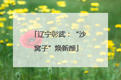 辽宁彰武：“沙窝子”焕新颜