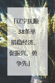 辽宁抚顺：38条举措稳经济、促振兴、勇争先