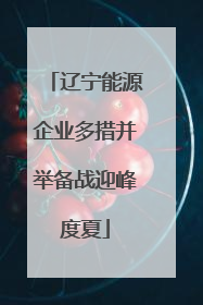 辽宁能源企业多措并举备战迎峰度夏