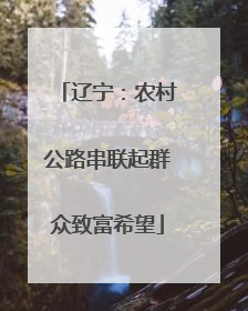 辽宁：农村公路串联起群众致富希望