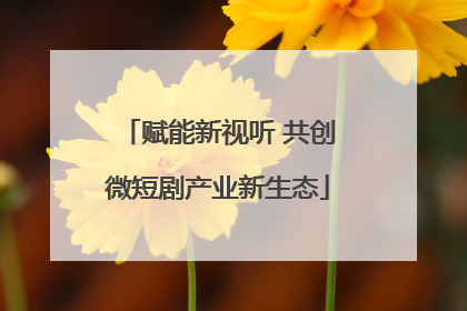 赋能新视听 共创微短剧产业新生态