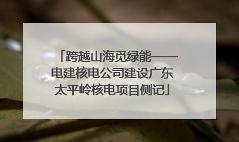 跨越山海觅绿能——电建核电公司建设广东太平岭核电项目侧记