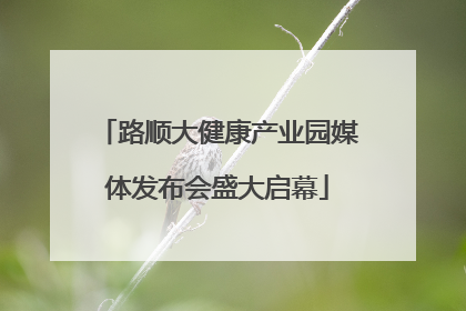 路顺大健康产业园媒体发布会盛大启幕