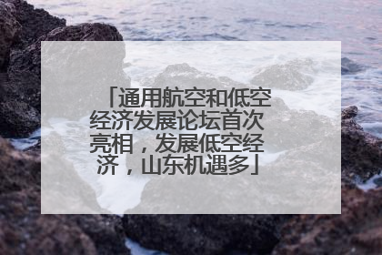 通用航空和低空经济发展论坛首次亮相，发展低空经济，山东机遇多
