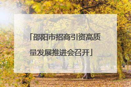 邵阳市招商引资高质量发展推进会召开