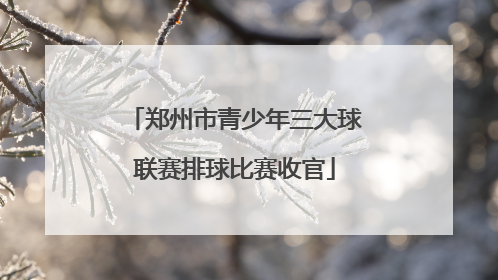 郑州市青少年三大球联赛排球比赛收官