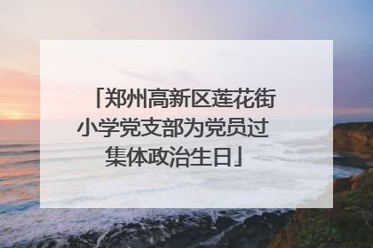 郑州高新区莲花街小学党支部为党员过集体政治生日