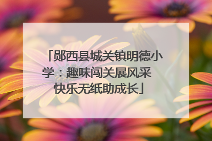 郧西县城关镇明德小学：趣味闯关展风采 快乐无纸助成长