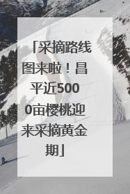 采摘路线图来啦！昌平近5000亩樱桃迎来采摘黄金期
