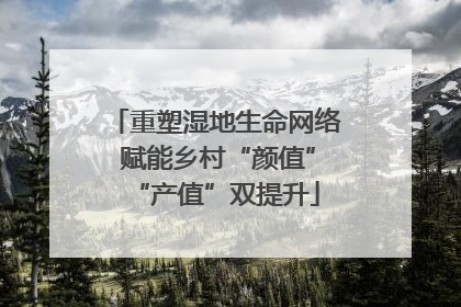 重塑湿地生命网络 赋能乡村“颜值”“产值”双提升