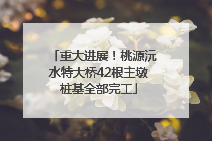 重大进展！桃源沅水特大桥42根主墩桩基全部完工