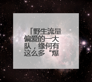 野生流量偏爱的一大队，缘何有这么多“爆款”民警