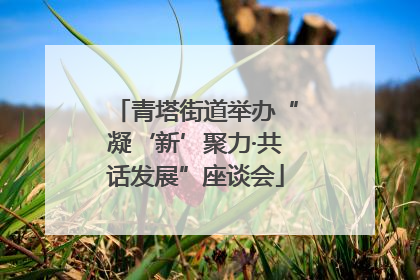 青塔街道举办“凝‘新’聚力·共话发展”座谈会