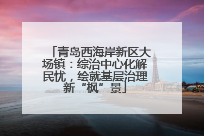 青岛西海岸新区大场镇：综治中心化解民忧，绘就基层治理新“枫”景