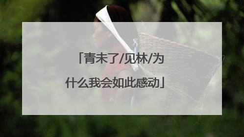 青未了/见林/为什么我会如此感动