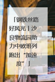 钢铁丝路好风光丨沙良物流园助力中欧班列跑出“加速度”
