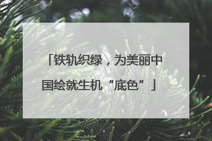 铁轨织绿，为美丽中国绘就生机“底色”