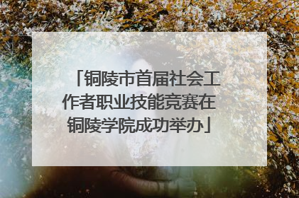 铜陵市首届社会工作者职业技能竞赛在铜陵学院成功举办