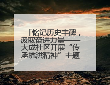 铭记历史丰碑，汲取奋进力量——大成社区开展“传承抗洪精神”主题党日活动