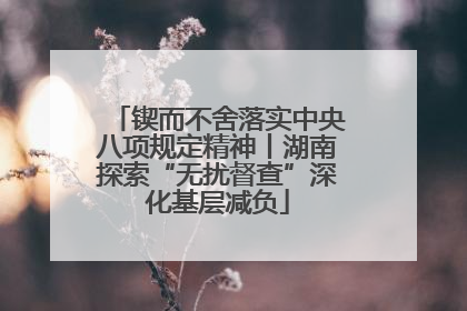 锲而不舍落实中央八项规定精神丨湖南探索“无扰督查”深化基层减负