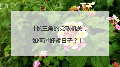 长三角的党政机关，如何过好紧日子？