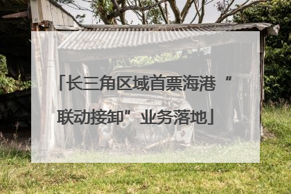 长三角区域首票海港“联动接卸”业务落地