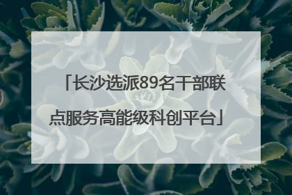 长沙选派89名干部联点服务高能级科创平台