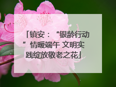 镇安：“银龄行动”情暖端午 文明实践绽放敬老之花