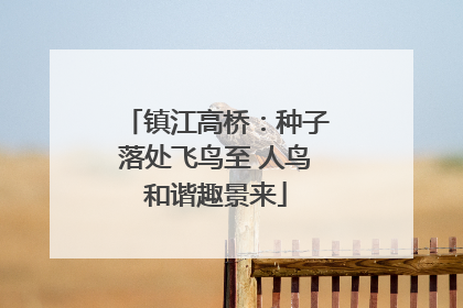 镇江高桥：种子落处飞鸟至 人鸟和谐趣景来