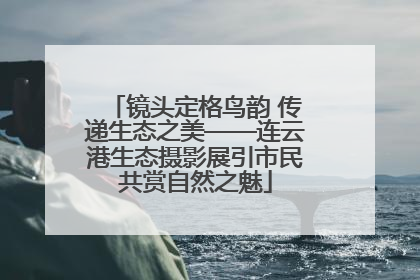 镜头定格鸟韵 传递生态之美——连云港生态摄影展引市民共赏自然之魅