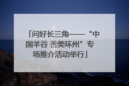 问好长三角——“中国羊谷 善美环州”专场推介活动举行