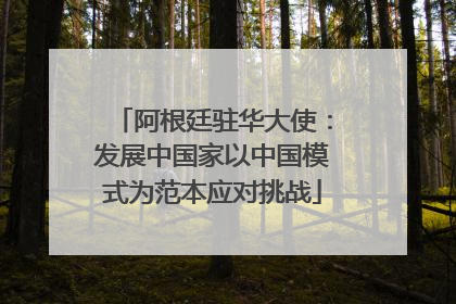 阿根廷驻华大使：发展中国家以中国模式为范本应对挑战