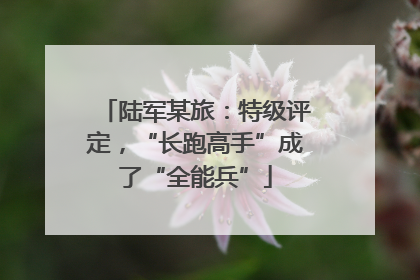 陆军某旅：特级评定，“长跑高手”成了“全能兵”