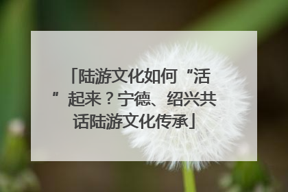 陆游文化如何“活 ”起来？宁德、绍兴共话陆游文化传承