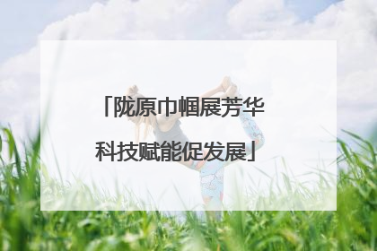 陇原巾帼展芳华 科技赋能促发展