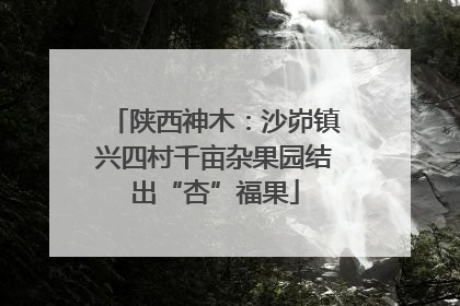 陕西神木：沙峁镇兴四村千亩杂果园结出“杏”福果