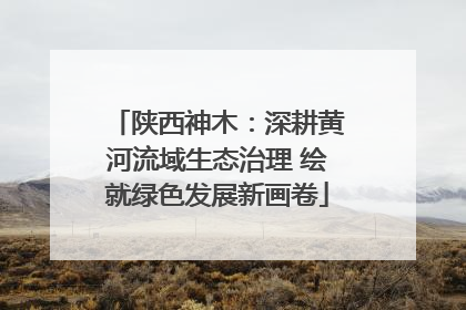 陕西神木：深耕黄河流域生态治理 绘就绿色发展新画卷