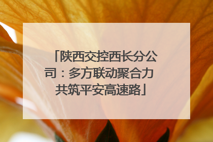 陕西交控西长分公司：多方联动聚合力 共筑平安高速路