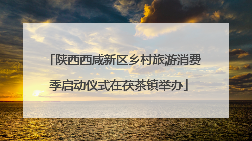 陕西西咸新区乡村旅游消费季启动仪式在茯茶镇举办