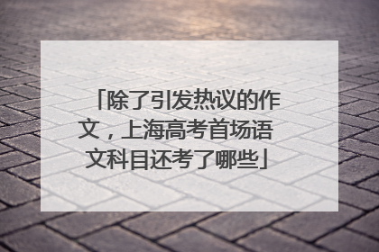 除了引发热议的作文，上海高考首场语文科目还考了哪些