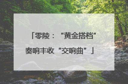 零陵：“黄金搭档”奏响丰收“交响曲”
